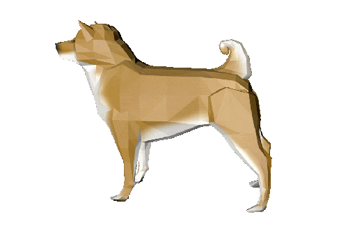 background4.gif (748 bytes)