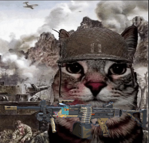 warcat.PNG